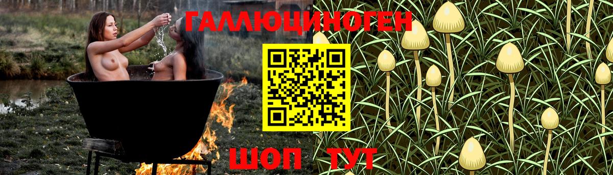 Псилоцибиновые грибы Psilocybine cubensis Грязи