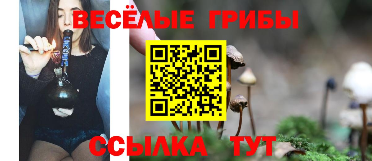 Псилоцибиновые грибы Psilocybine cubensis  Вход с VPN  Грязи 